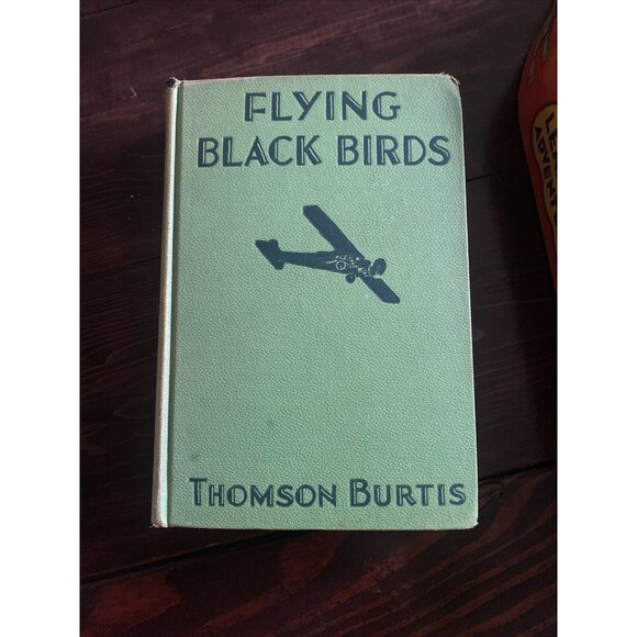 FLYING BLACK BIRDS THOMSON BURTIS AIR COMBAT PLANES 1932 HARDCOVER BOOK Vintage - Picture 9 of 9